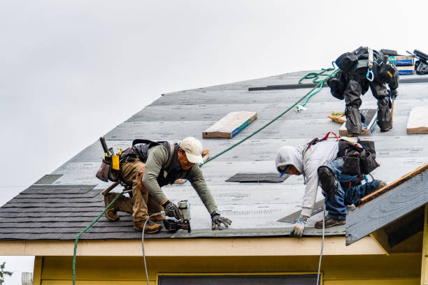 Professional Flat Roof Repair technician working in Ashley, IN